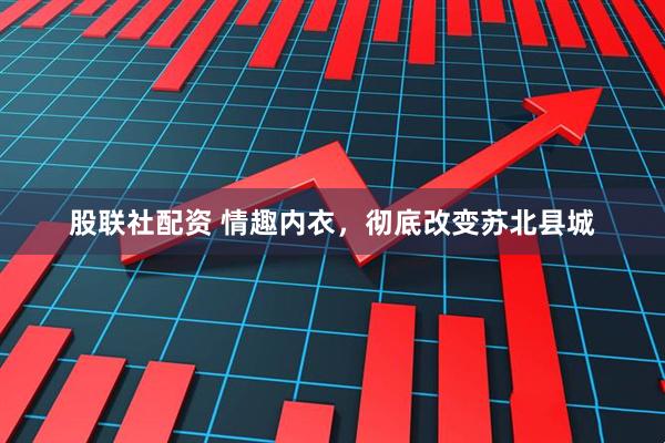 股联社配资 情趣内衣，彻底改变苏北县城