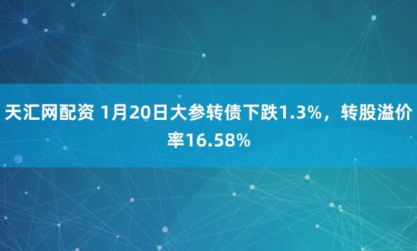 天汇网配资 1月20日大参转债下跌1.3%,转股溢价率16.58%